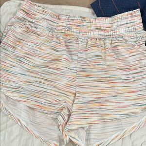 DSG Multicolor Striped Athletic Shorts